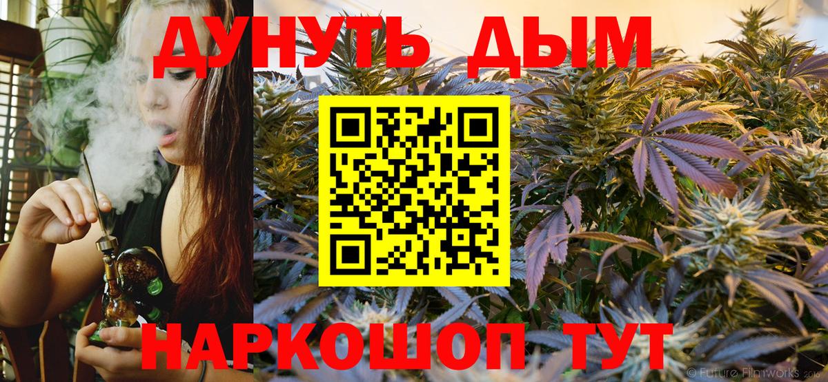 Бошки Шишки план Чехов